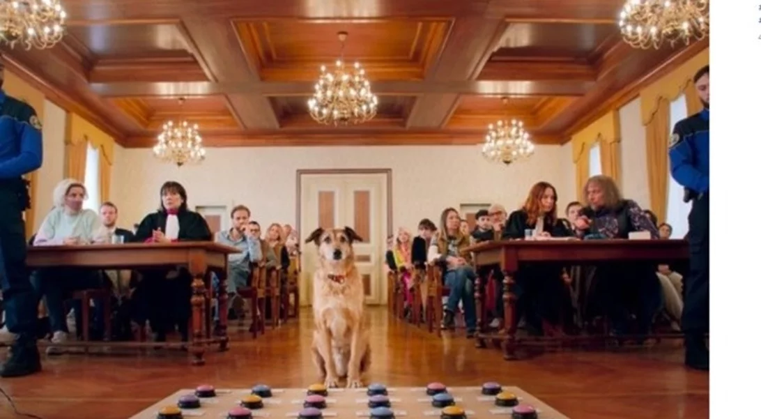 Palm Dog για τον Κοντί, τον τετράποδο πρωταγωνιστή της ταινίας "Le procès du chien"