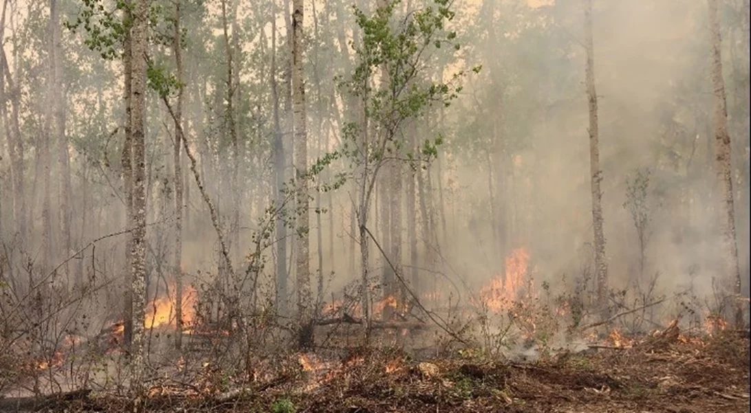 Καναδάς: Χιλιάδες απομακρύνονται εσπευσμένα από τα σπίτια τους εξαιτίας πυρκαγιών