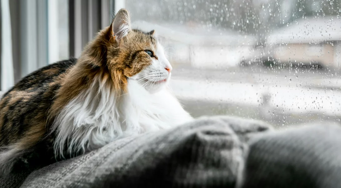 Τα ζώδια σήμερα 22/01 | Ημερήσιες προβλέψεις για κάθε ζώδιo