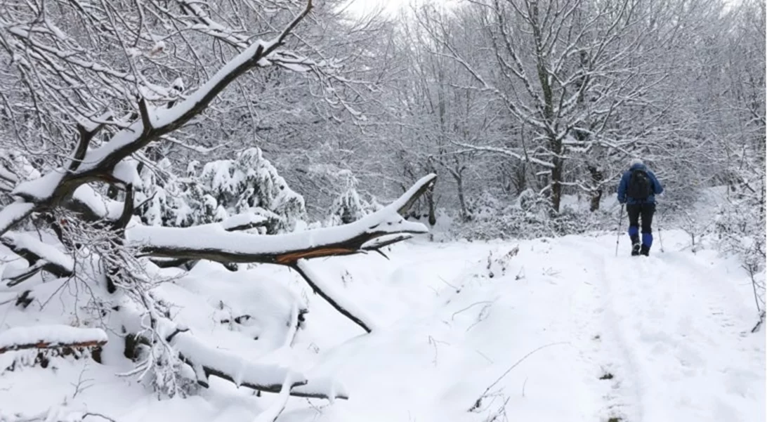 Καιρός | Έρχεται πολική κακοκαιρία με τσουχτερό κρύο και πτώση της θερμοκρασίας - Ποιες περιοχές θα ντυθούν στα λευκά
