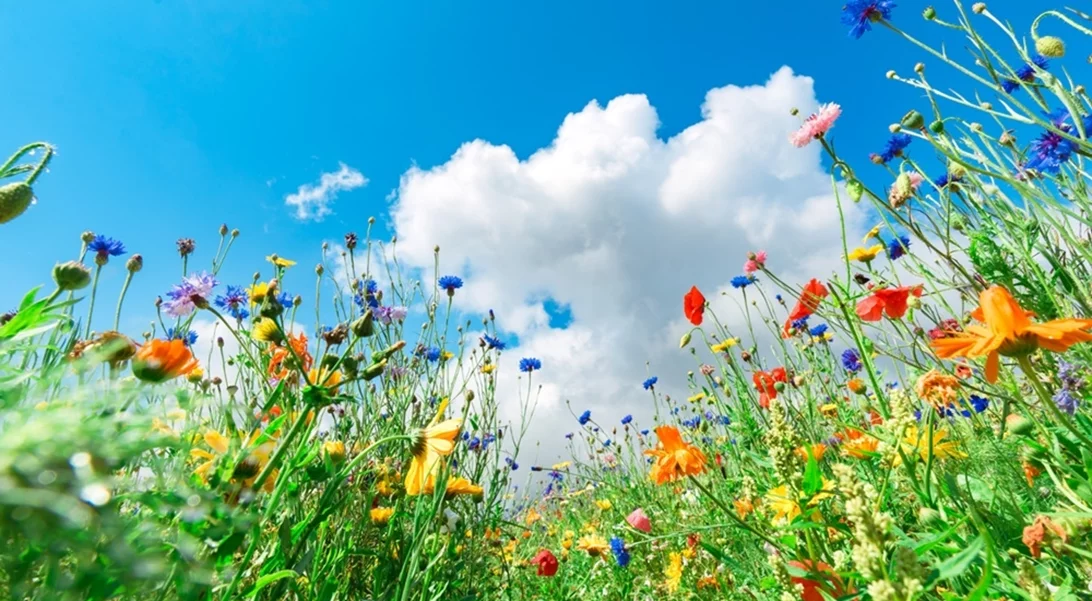 Εορτολόγιο | Ποιος γιορτάζει σήμερα Κυριακή του Πάσχα - Μεγάλη γιορτή
