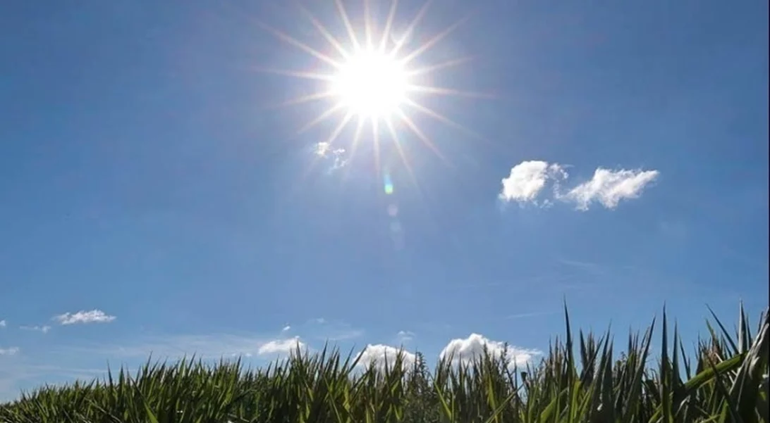 Με άνοδο της θερμοκρασίας μπαίνει ο Δεκέμβριος - Ανοιξιάτικος ο καιρός το Σαββατοκύριακο