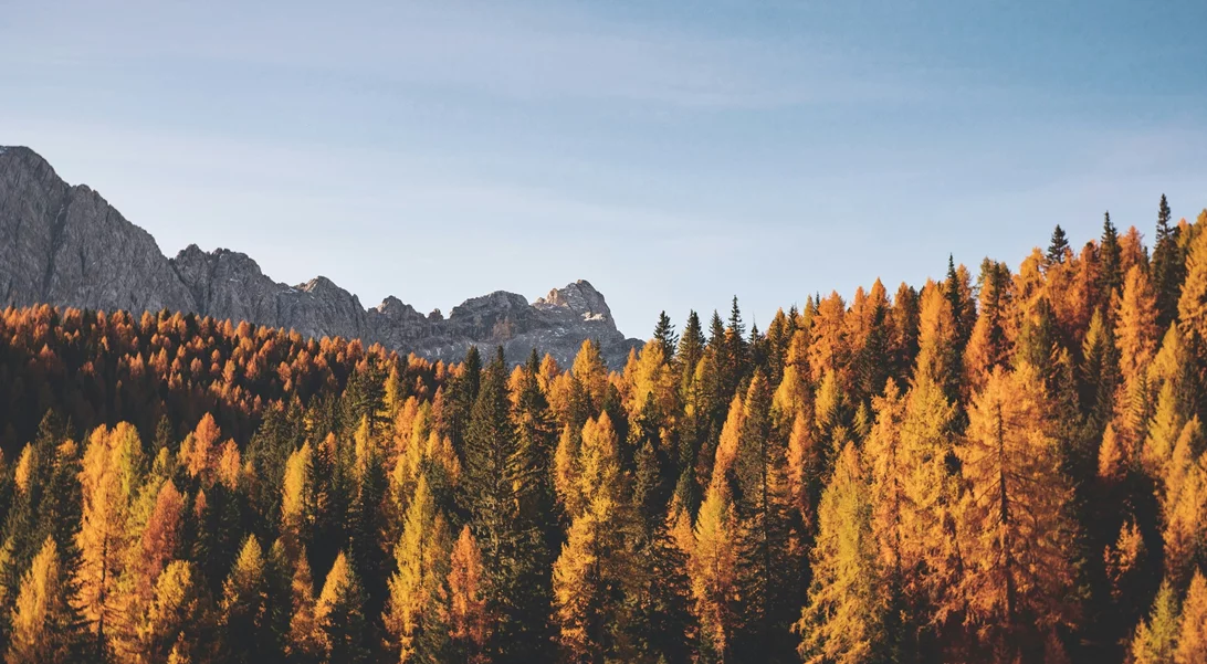 Τα ζώδια σήμερα 30/10 | Ημερήσιες προβλέψεις για κάθε ζώδιo