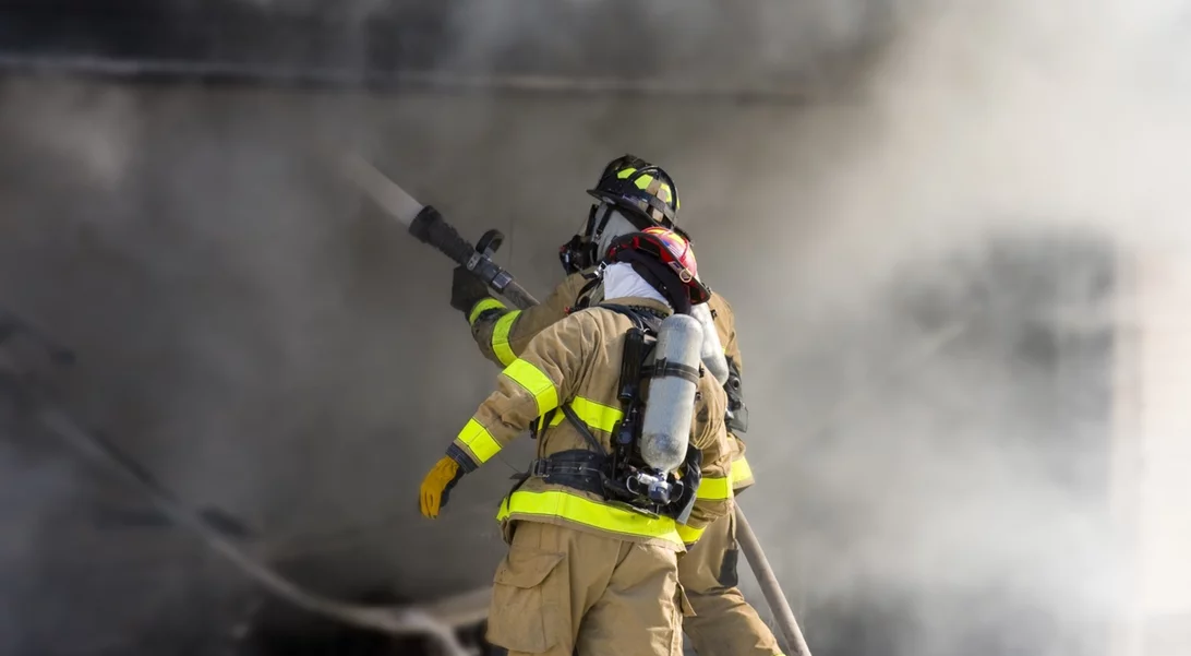 Σε ύφεση η φωτιά στο Αλιβέρι | Συνελήφθη ο 75χρονος που "κάπνιζε" μελίσσια
