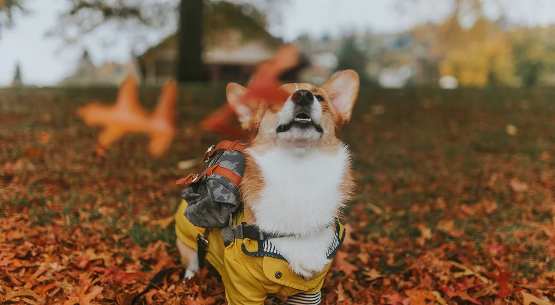 Τα ζώδια σήμερα 9/10 | Ημερήσιες προβλέψεις για κάθε ζώδιο