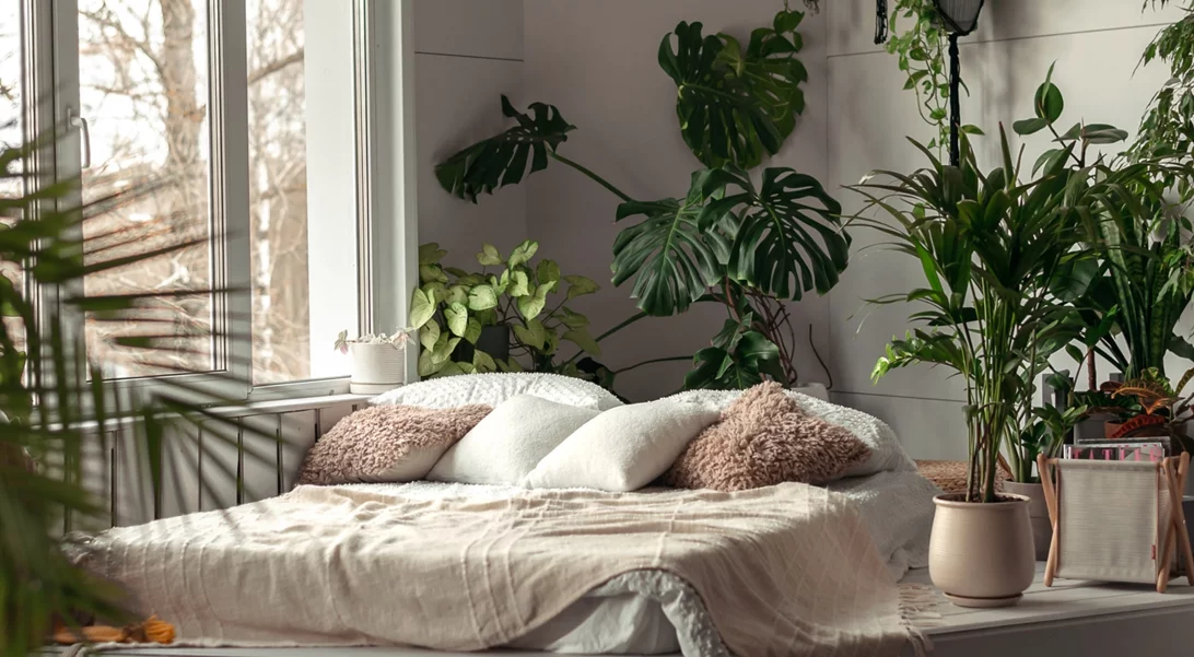 10 ονειρεμένα σπίτια του Instagram που θα σε πείσουν να βάλεις τα φυτά στον χώρο σου