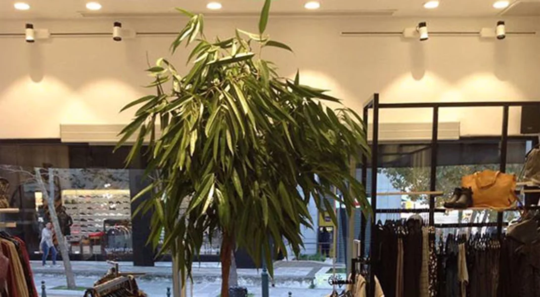 Helmi: Το Σάββατο 17 Δεκεμβρίου βοηθούμε τους "Φίλους του Παιδιού"