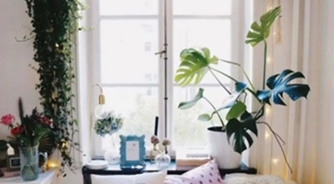 Αυτό είναι το μοναδικό μυστικό για να οργανώσεις το σπίτι σου