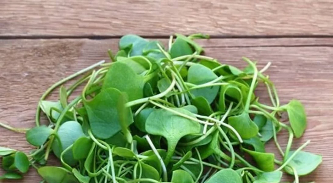 Νεροκάρδαμο για υγιή μαλλιά; Δες και τις 10 τροφές για δυνατά, μακριά μαλλιά!