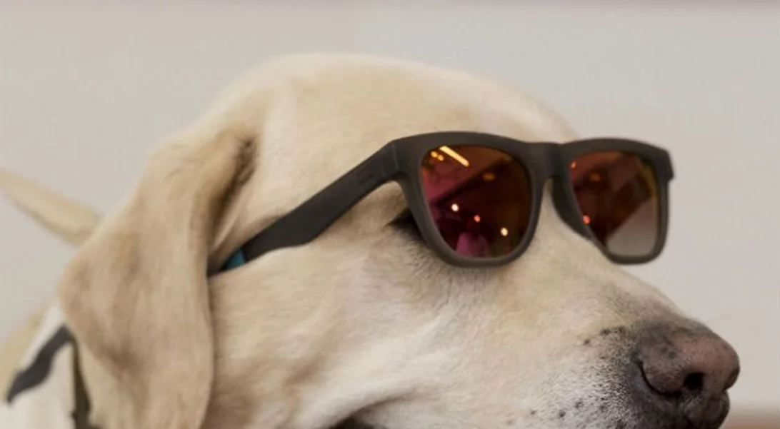 #GiveLoveTOMSGreece: Ένας διαγωνισμός αγάπης με πρωταγωνιστή το pet σου!