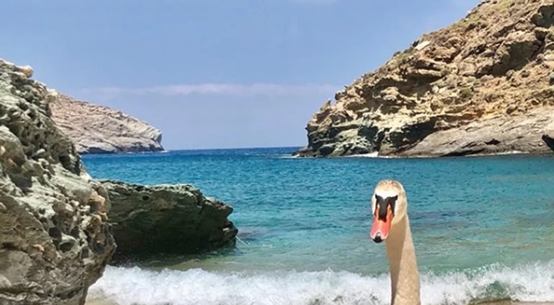 Ελένη Μενεγάκη: Ποζάρει με μαγιό και αποκαλύπτει με ποιους περνάει τις καλοκαιρινές διακοπές της