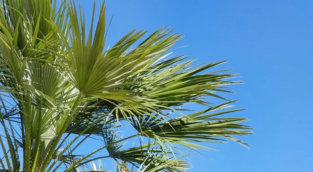 Δυναμική και με αυτοπεποίθηση σε κάθε φάση της ζωής σου