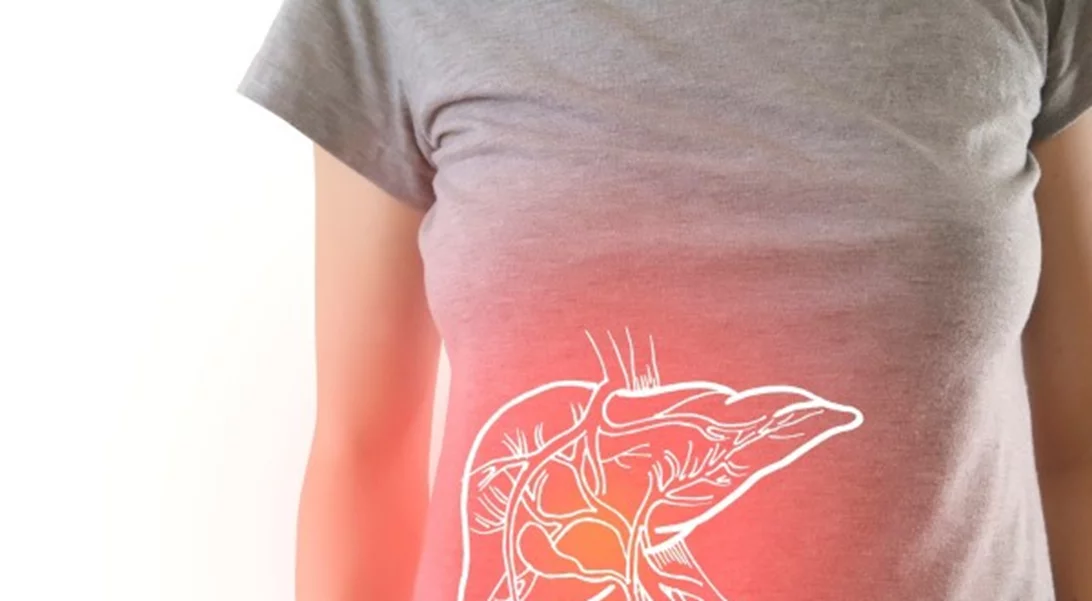 Υγιές συκώτι και στις γιορτές: Γιατί το όργανο αυτό είναι πολύτιμο και πώς θα το προστατέψεις