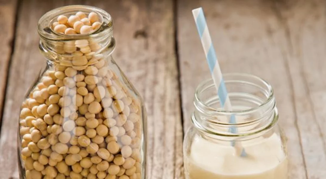 10 εναλλακτικές πηγές προβιοτικών για vegan (Τουλάχιστον τις 3 δεν τις έχεις ξανακούσει)