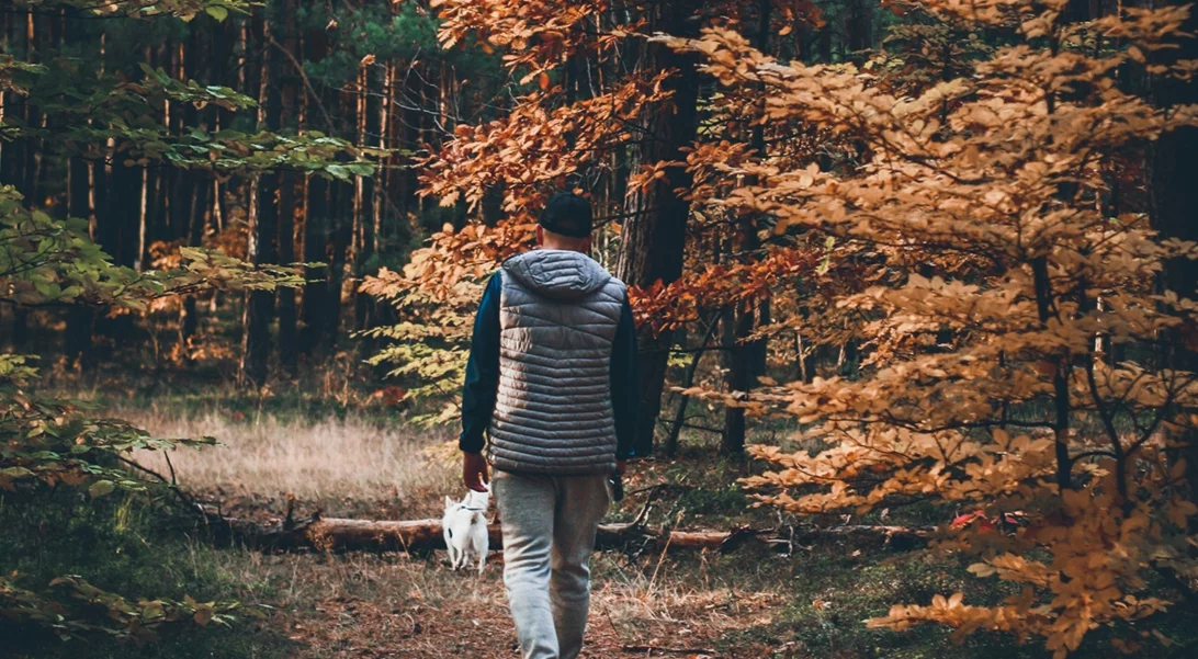 Τα ζώδια σήμερα 15/11 | Ημερήσιες προβλέψεις για κάθε ζώδιo