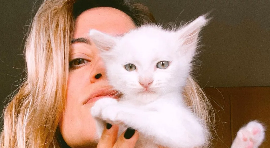 Γάτες και εγκυμοσύνη: Οι συμβουλές της Μαίρης Συνατσάκη από την εμπειρία της