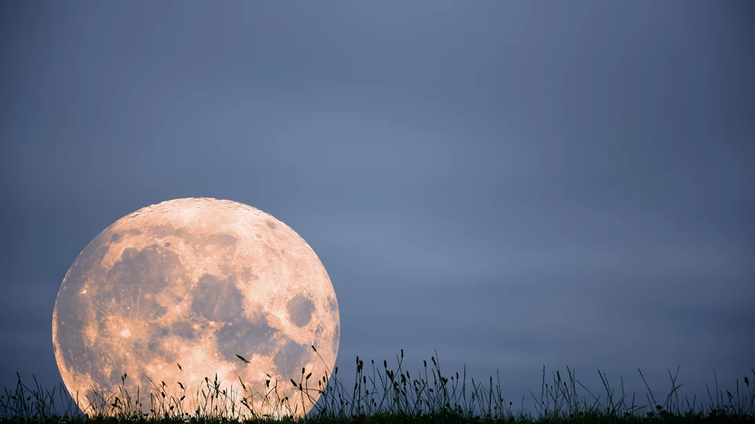 Αυγουστιάτικη Πανσέληνος 9/8: Αυτά τα 4 ζώδια θα δουν την αλήθεια που τόσο καιρό απέφευγαν - η πιο σκληρή πανσέληνος του έτους