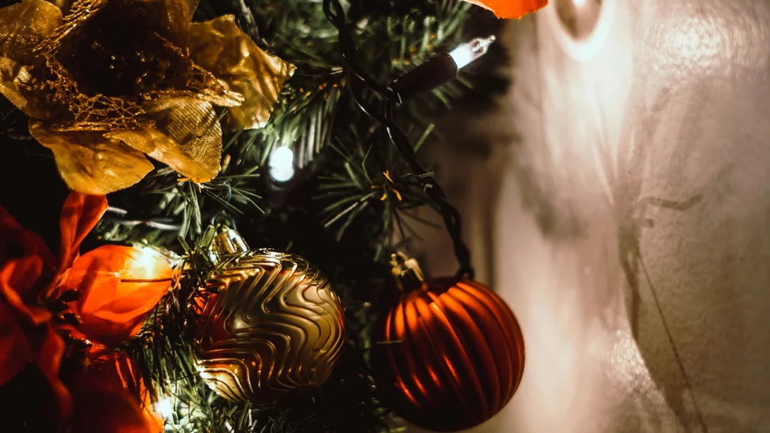 Τα ζώδια σήμερα 13/12 | Ημερήσιες προβλέψεις για κάθε ζώδιo