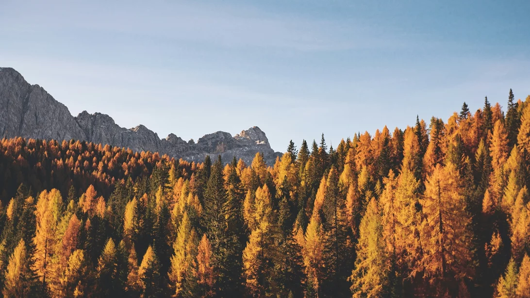 Τα ζώδια σήμερα 30/10 | Ημερήσιες προβλέψεις για κάθε ζώδιo