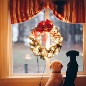 Τα ζώδια σήμερα 24/12 | Ημερήσιες προβλέψεις για κάθε ζώδιo