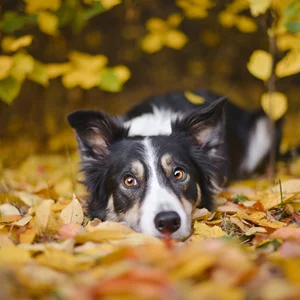 Τα ζώδια σήμερα 13/11 | Ημερήσιες προβλέψεις για κάθε ζώδιo