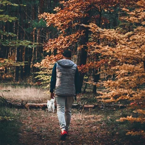 Τα ζώδια σήμερα 15/11 | Ημερήσιες προβλέψεις για κάθε ζώδιo