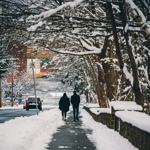 Τα ζώδια σήμερα 24/01 | Ημερήσιες προβλέψεις για κάθε ζώδιo