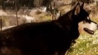 Νέος κύκλος καταθέσεων για τον 8χρονο Ολιβερ | Πού στρέφονται οι έρευνες για την κακοποίησή του