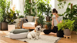 Πώς θα μετατρέψεις το χώρο σου σε πράσινη όαση