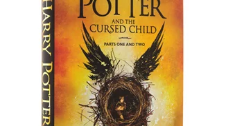 Μία γυναίκα από την Ουαλία κατέρριψε ρεκόρ Γκίνες για τη μεγαλύτερη συλλογή αναμνηστικών Harry Potter