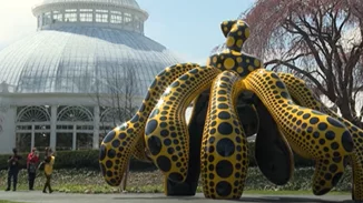 Εγκαινιάστηκε στον Βοτανικό Κήπο της Νέας Υόρκης η έκθεση "Kusama: Cosmic Nature"