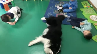 Η δύναμη του Κόι - Πώς ένας σκύλος λειτουργεί ως συνθεραπευτής στο πλαίσιο της ζωοθεραπείας