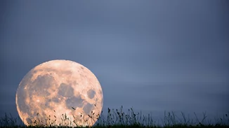 Αυγουστιάτικη Πανσέληνος 9/8: Αυτά τα 4 ζώδια θα δουν την αλήθεια που τόσο καιρό απέφευγαν - η πιο σκληρή πανσέληνος του έτους