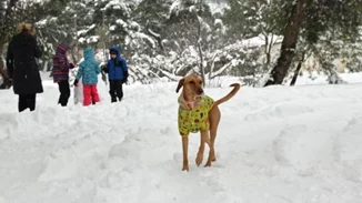 Κακοκαιρία Avgi | Υποχωρούν τα έντονα καιρικά φαινόμενα - Σε ποιες περιοχές επιμένουν τα χιόνια και το τσουχτερό κρύο