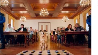 Palm Dog για τον Κοντί, τον τετράποδο πρωταγωνιστή της ταινίας "Le procès du chien"