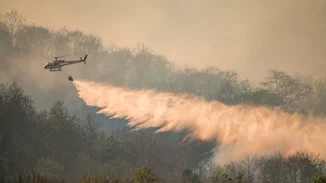Φωτιά στην Αλεξανδρούπολη | Βρέθηκαν δύο ακόμη σοροί - Συνεχίζεται η μάχη με τις φλόγες