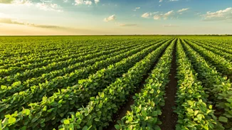 "Grow", μια εγκατάσταση για την ομορφιά της γεωργίας