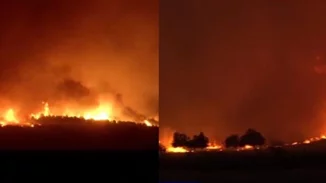 Φωτιά στην Αλεξανδρούπολη | Ολονύχτια μάχη με τις φλόγες και τα μποφόρ – Ενισχύσεις από Ήπειρο και Θεσσαλία