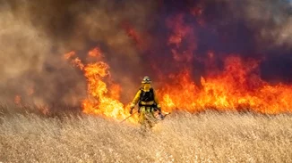 Συνεχίζεται η μάχη με τις αναζωπυρώσεις στον Έβρο - Χωρίς ενεργό μέτωπο η φωτιά στα Φάρσαλα