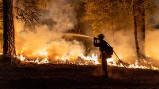 Φωτιές - Οι ποινές | Ένας χρόνος φυλακή για τους "εξ αμελείας" εμπρηστές, έως 10 χρόνια αν κινδυνεύσει άνθρωπος - Ποιοι απειλούνται με ισόβια