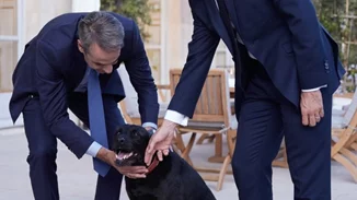 Ψάχνοντας τον Nemo στο Ελιζέ |  Όταν ο Μητσοτάκης συνάντησε τον σκύλο του Μαcron [εικόνες - βίντεο]