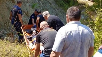 "Τρέξε να τον σώσεις, τον έχει φάει αρκούδα": Η ανατριχιαστική περιγραφή αυτόπτη μάρτυρα για την επίθεση σε 67χρονο