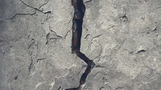 Αυτές είναι οι προβλέψεις του Νοστράδαμου για το 2024 που έχουν τρομοκρατήσει το σύμπαν