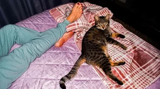 "Soft Walls" | Ένα πολυεπίπεδο πρότζεκτ αφιερωμένο στη φωτογραφία