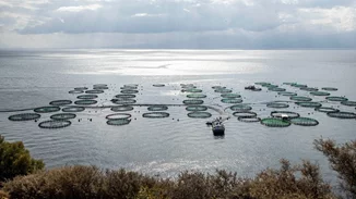 Η ΕΛΟΠΥ στηρίζει για 2η συνεχή χρονιά το Χαμόγελο του Παιδιού