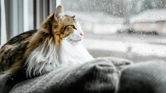 Τα ζώδια σήμερα 22/01 | Ημερήσιες προβλέψεις για κάθε ζώδιo