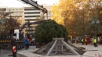Το χριστουγεννιάτικο δέντρο στήθηκε στην πλατεία Συντάγματος - Έλατο 21 μέτρων από το Καρπενήσι [βίντεο]