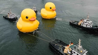 Rubber Duck | Η αγαπημένη λαστιχένια πάπια του Χονγκ Κονγκ