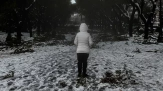 Επιδείνωση του καιρού από σήμερα με πολύ κρύο και χιόνια ακόμη και στην Αττική - Μπαράζ συσκέψεων στην Πολιτική Προστασία