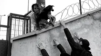 ΕΜΣΤ | Δύο βραδιές προβολών και μια ομιλία στο πλαίσιο της έκθεσης Why Look at Animals? – Δικαιοσύνη για τη μη ανθρώπινη ζωή